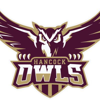 Full Owls Logo Thumbnail