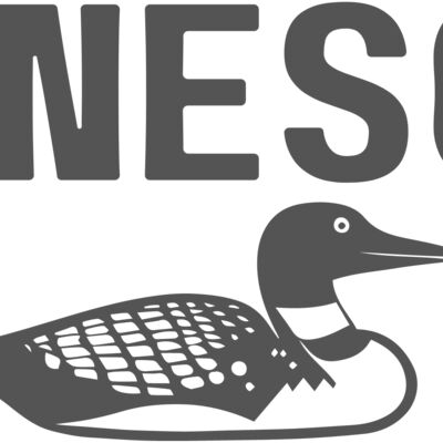Minnesota Loon Thumbnail