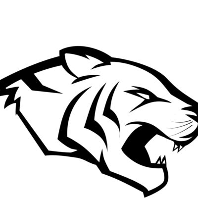 for orange shirts 2 all black   just words tiger Thumbnail