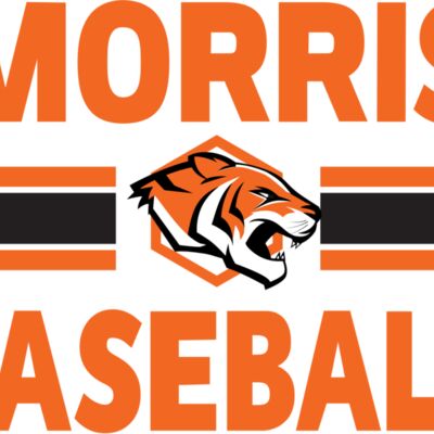 Tiger Baseball Number Thumbnail