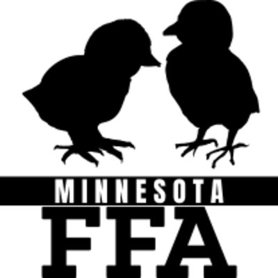 Chicks Shirt Thumbnail