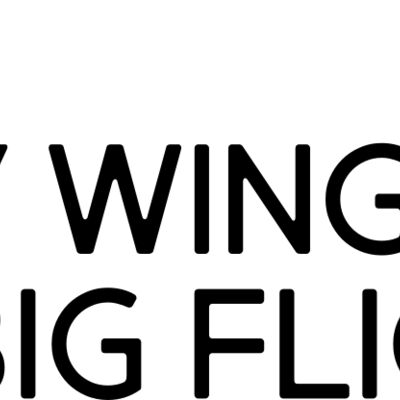Tiny Wings, Big Flight Thumbnail