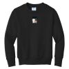 Youth Core Fleece Crewneck Sweatshirt Thumbnail