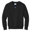 Youth Core Fleece Crewneck Sweatshirt Thumbnail