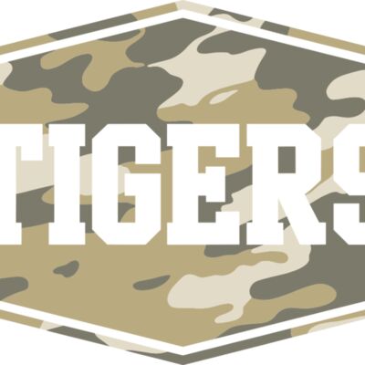 Tigers Camp patch 2 Thumbnail