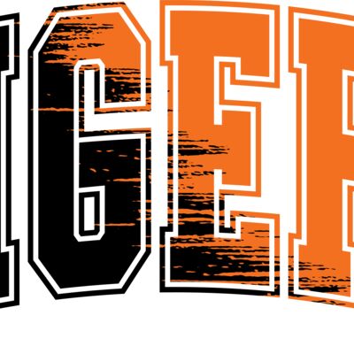 Tiger PNG Thumbnail