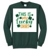 Core Fleece Crewneck Sweatshirt Thumbnail